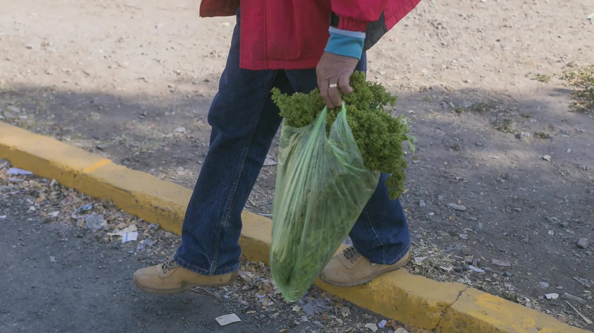 Reglamentarán utilización de bolsas de plástico.  Foto César Ortiz  El Sol de San Juan del Río.